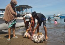 Swinburne University , Unhas, dan YKL Indonesia Kolaborasi Penguatan Informasi Masyarakat Pesisir di Sulsel Aktifitas nelayan di Galesong Takalar